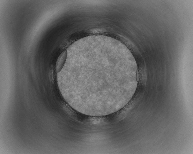 X0000111810762200909031430