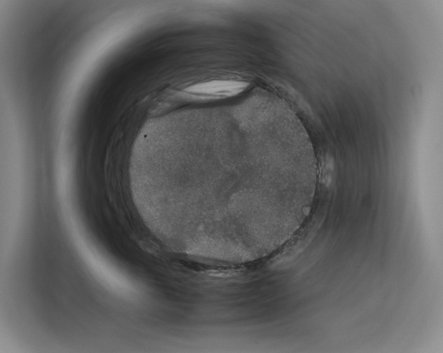X0000111810763200909031430
