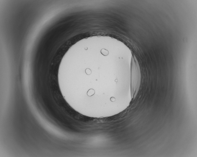 X0000111810764200909031430