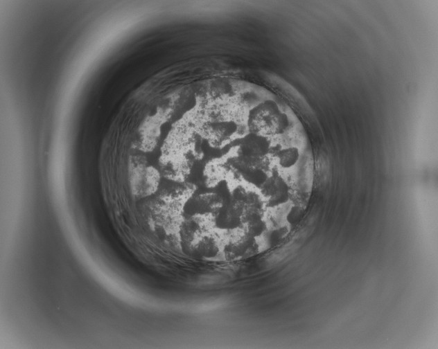 X0000111810765200909031430