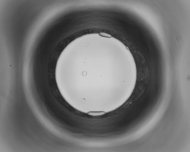 X0000111810766200909031430