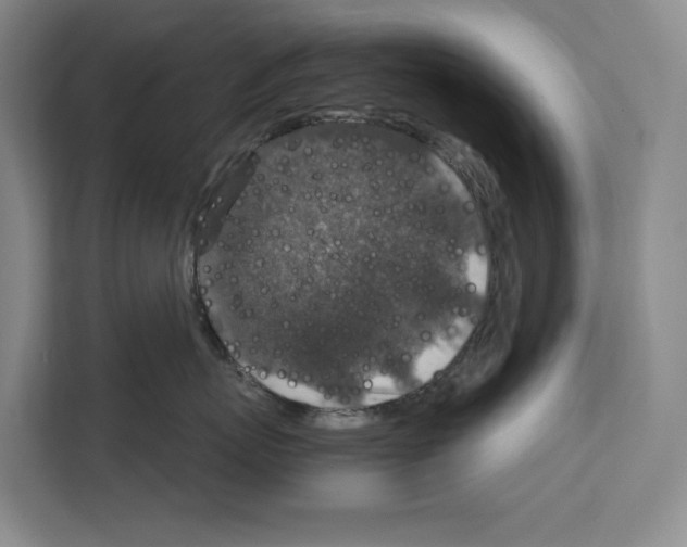 X0000111810767200909031430