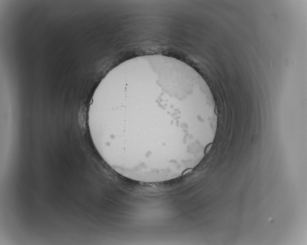 X0000111810768200909031430