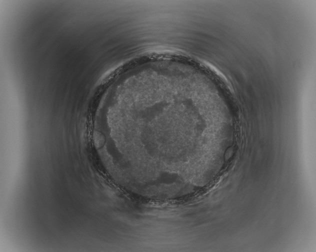 X0000111810775200909031429