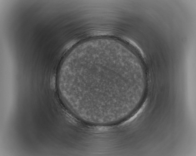 X0000111810777200909031429