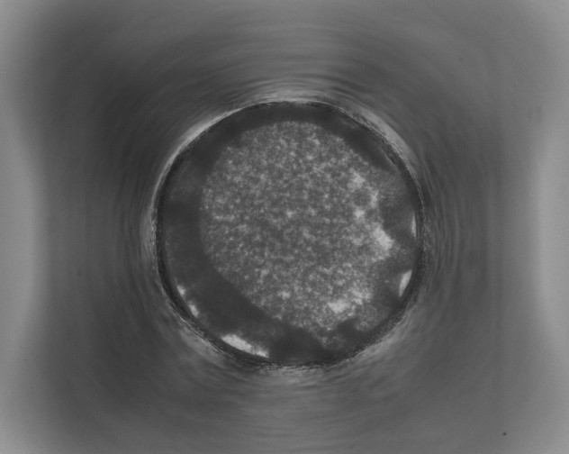 X0000111810779200909031429