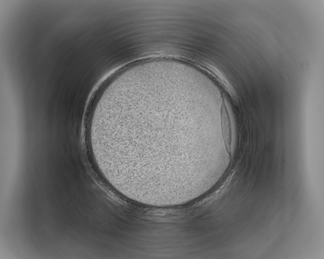 X0000111810780200909031429