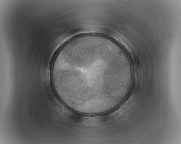 X0000111810781200909031429