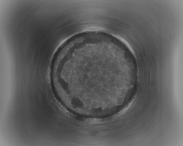 X0000111810783200909031429