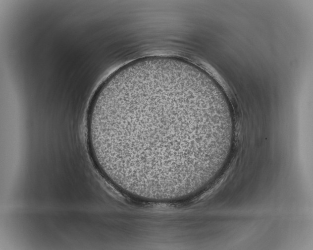 X0000111810787200909031429