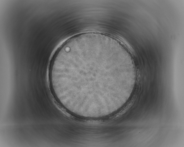 X0000111810788200909031429