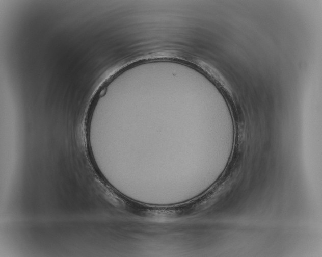 X0000111810789200909031429