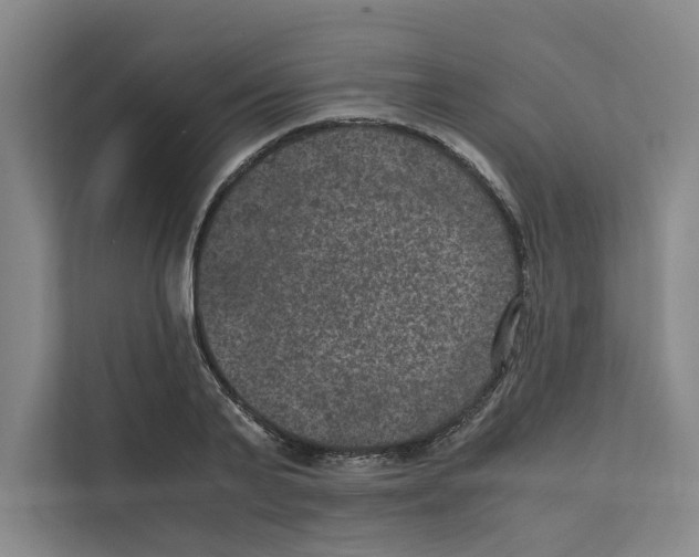 X0000111810791200909031429