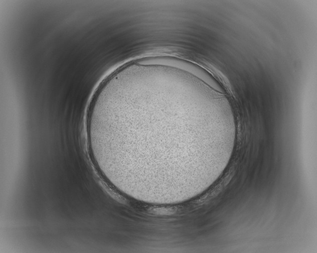 X0000111810792200909031429