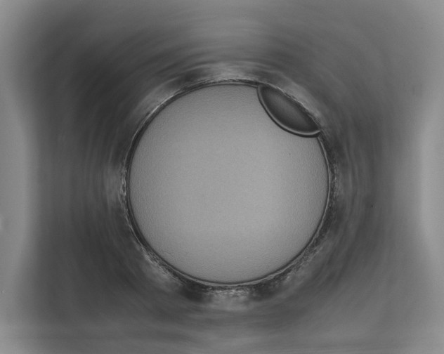 X0000111810793200909031429