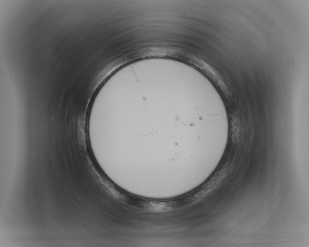 X0000111810794200909031429