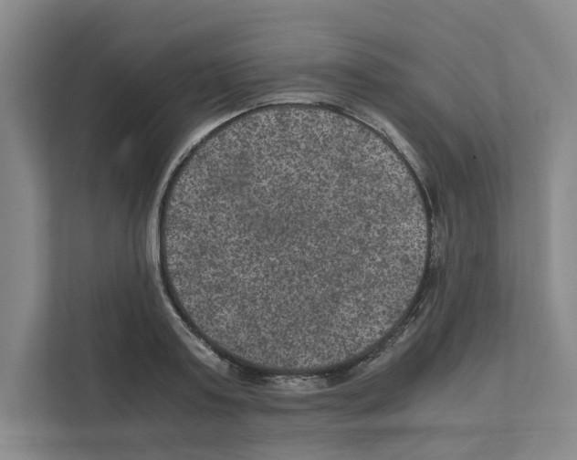 X0000111810795200909031429