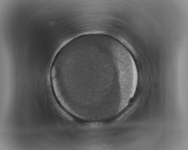 X0000111810797200909031429