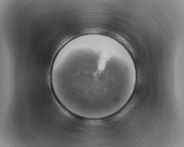X0000111810802200909031429
