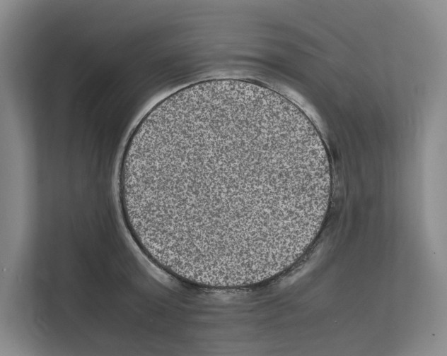 X0000111810803200909031429