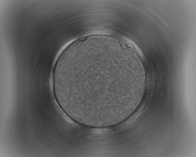 X0000111810804200909031429