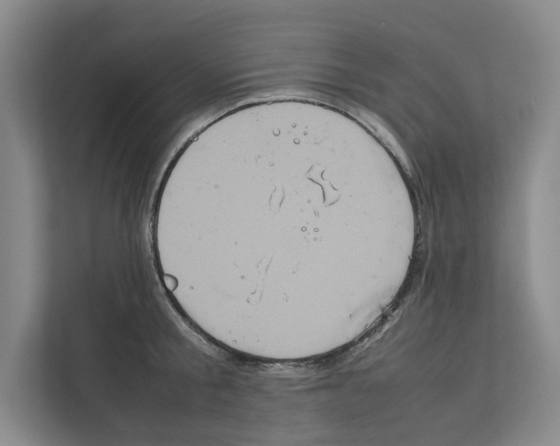 X0000111810805200909031429