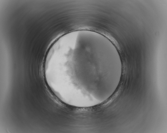 X0000111810806200909031429