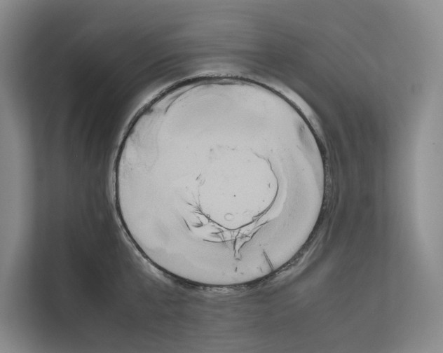 X0000111810807200909031429