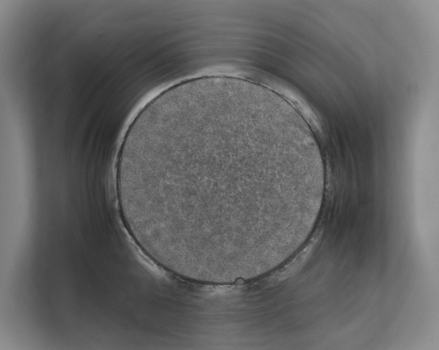 X0000111810808200909031429