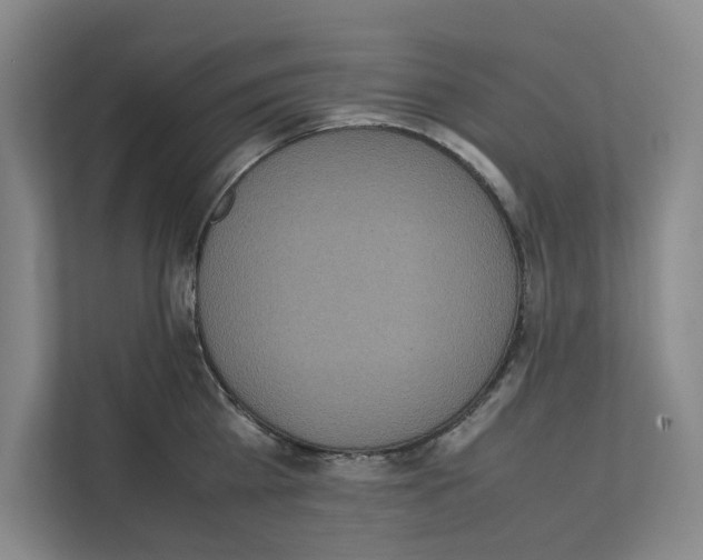 X0000111810809200909031429