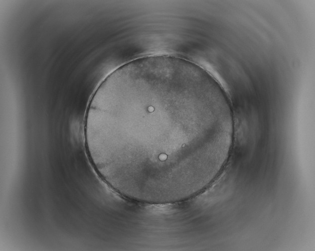 X0000111810810200909031429