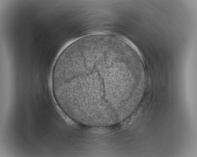 X0000111810811200909031429