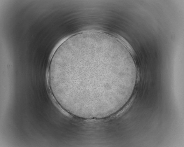 X0000111810812200909031429