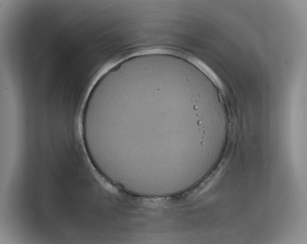 X0000111810813200909031429