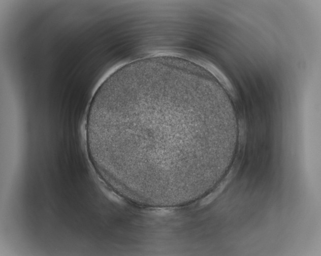 X0000111810814200909031429
