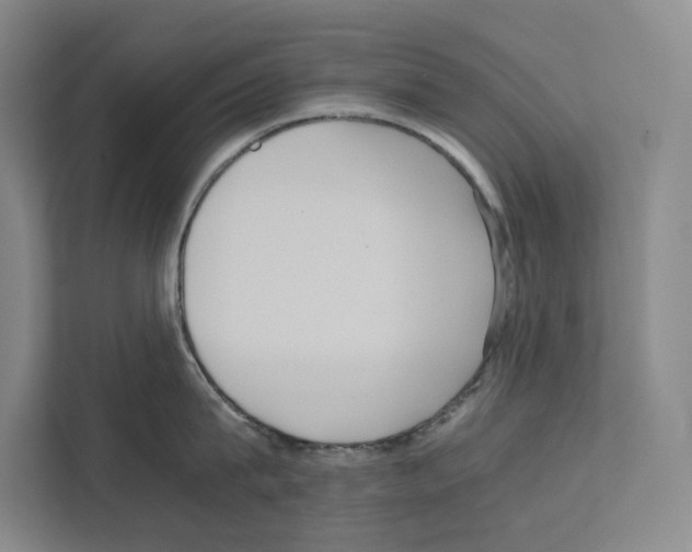 X0000111810815200909031429