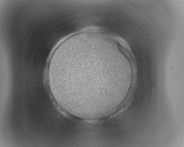 X0000111810816200909031429