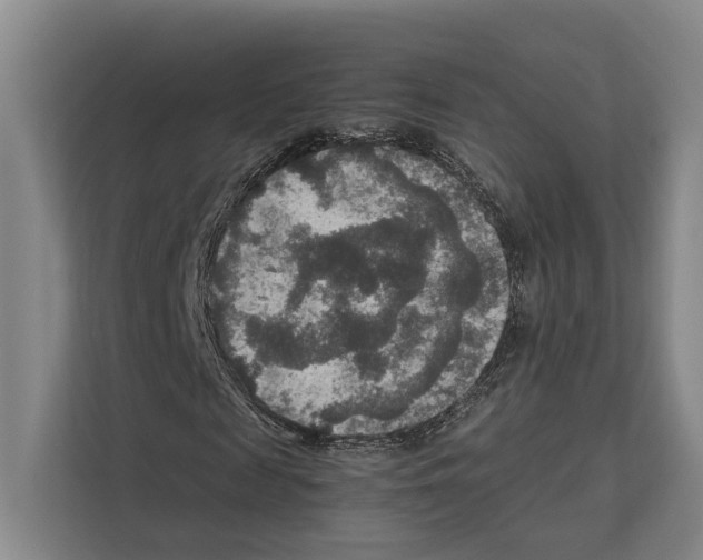 X0000111810817200909031428