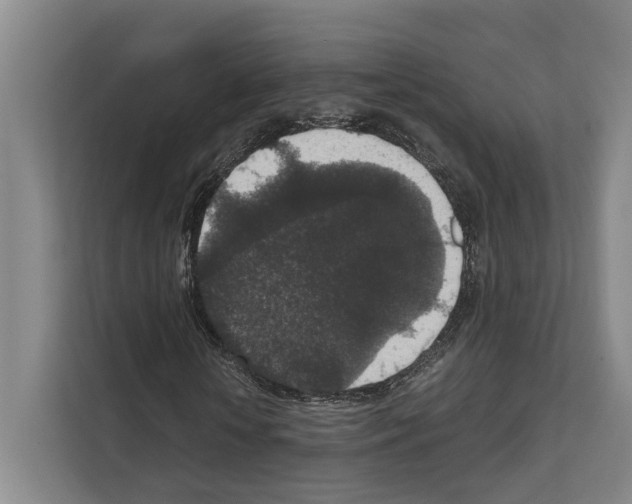 X0000111810818200909031428