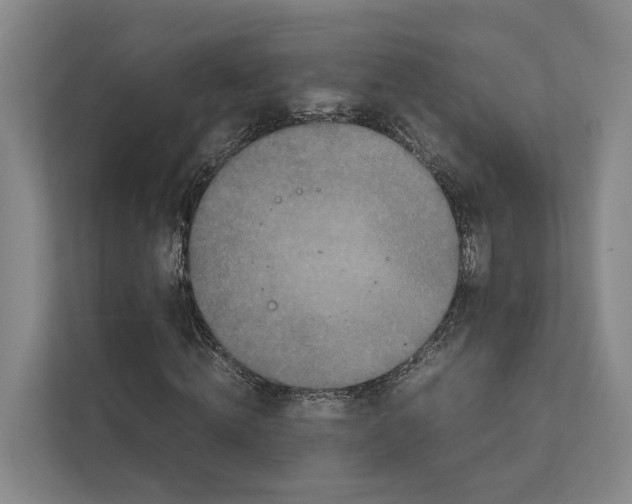 X0000111810820200909031428