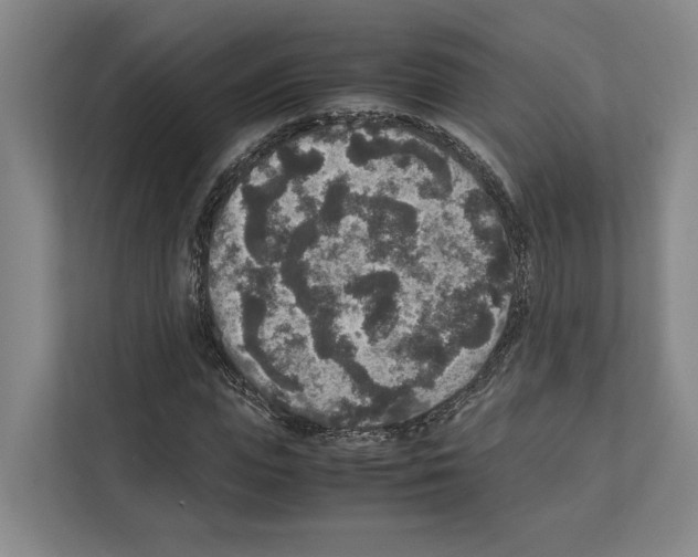 X0000111810823200909031428