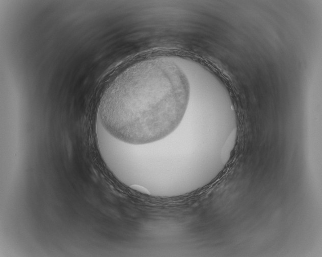 X0000111810824200909031428