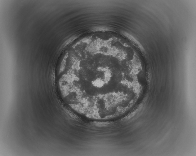 X0000111810825200909031428