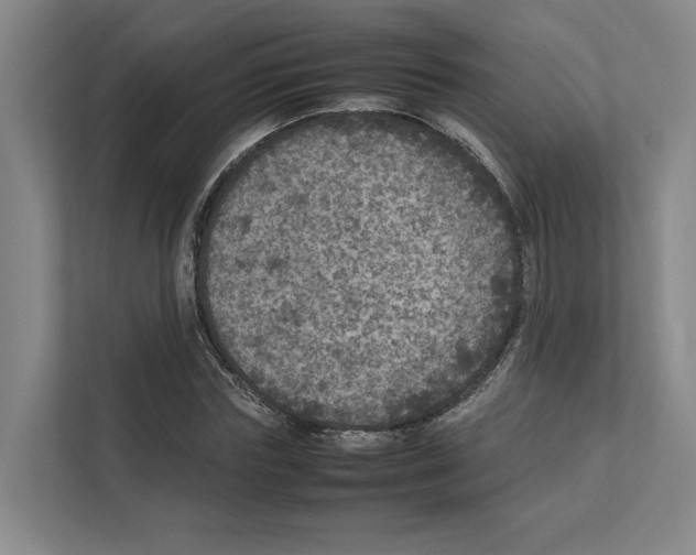 X0000111810827200909031428