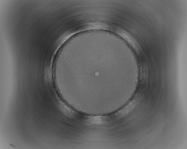 X0000111810828200909031428