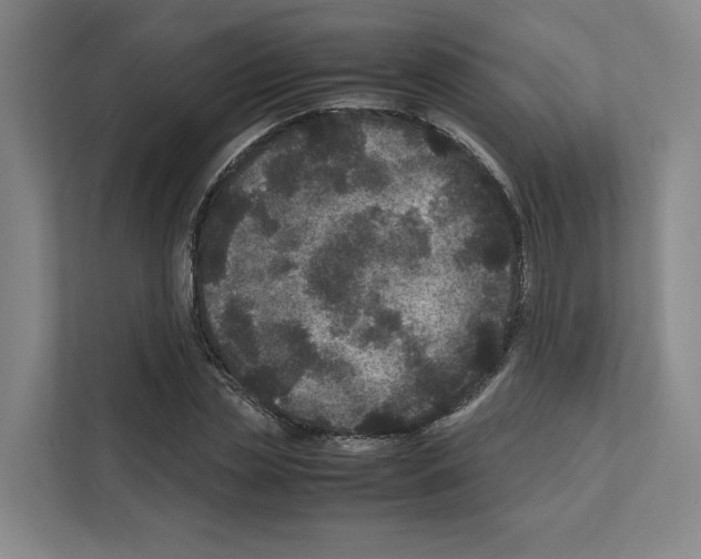 X0000111810829200909031428