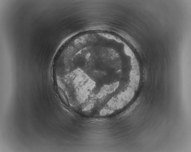 X0000111810830200909031428