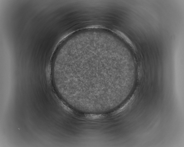 X0000111810831200909031428