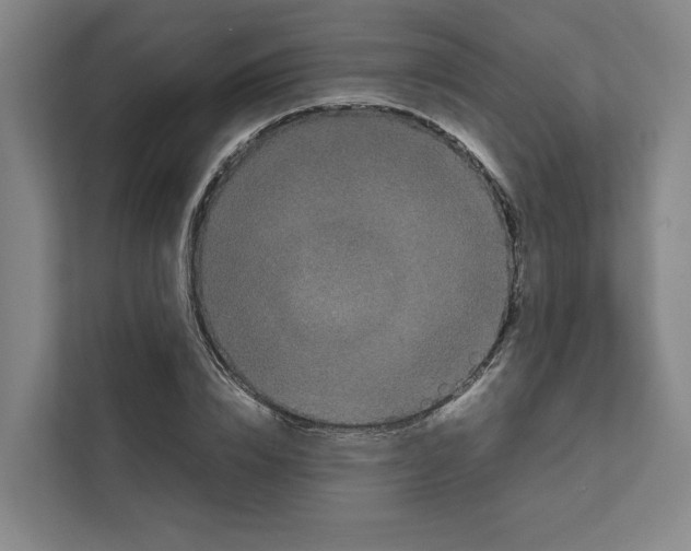 X0000111810832200909031428