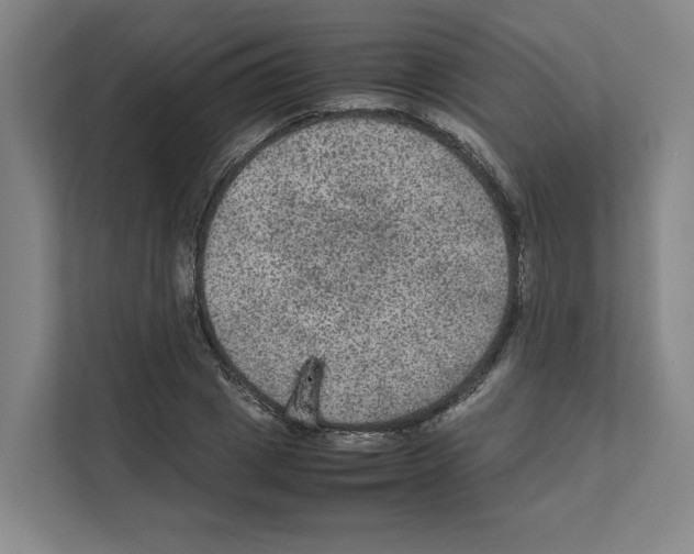X0000111810833200909031428